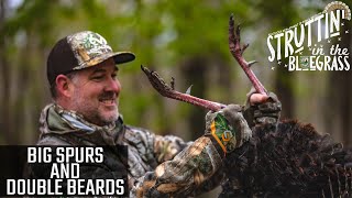 Watch Video - Big Spurs and Double Beards