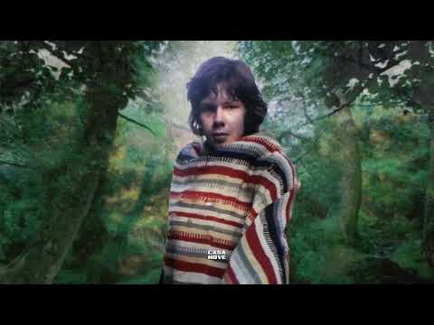 I Was Made To Love Magic - Nick Drake
