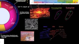 BURSLULUK VE YETENEK SINAVINA HAZIRLANMAK İÇİN KAYNAK VİDEOLARA ÖRNEKLER.