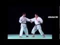 Basai Dai Shitoryu Bunkai