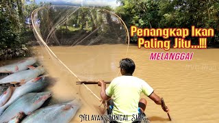Download lagu CARA UNIK MENANGKAP IKAN||ALAT PENANGKAP IKAN TRADISIONAL NELAYAN INDONESIA #ikanpatin #nelayan mp3 Download lagu CARA UNIK MENANGKAP IKAN||ALAT PENANGKAP IKAN TRADISIONAL NELAYAN INDONESIA #ikanpatin #nelayan mp3