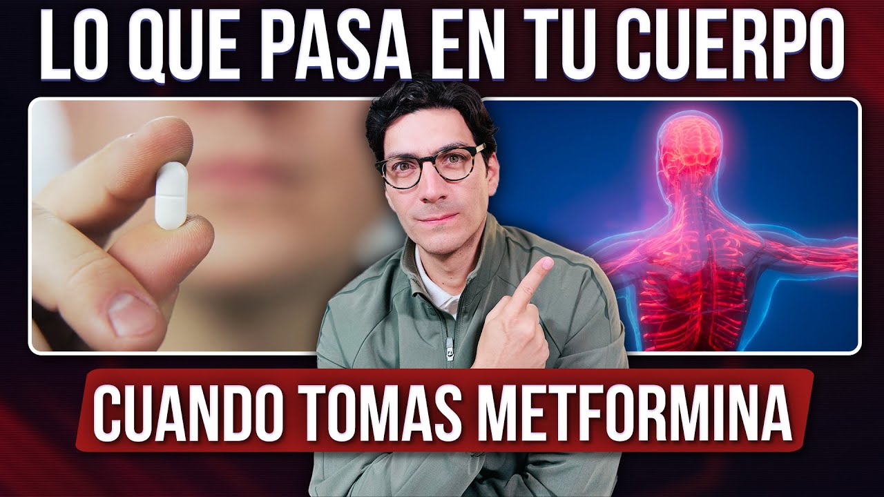 Lo que pasa en tu cuerpo cuando tomas Metformina