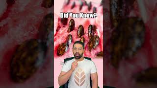 Download lagu Why you should eat seeded watermelon! mp3