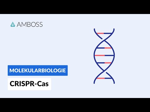 CRISPR-Cas9 -- Biochemistry / Molecular Biology -- AMBOSS Video