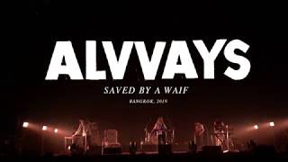 Alvvays - Saved by A Waif (Live in Bangkok, 2019)