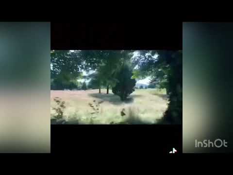 Fate: The Winx Saga - Behind The Scenes - Season 2 (Part 1)