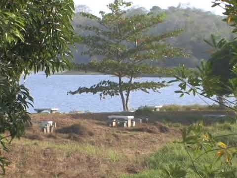 download lagu mp3 mp4 Beaver Construction Trinidad, download lagu Beaver Construction Trinidad gratis, unduh video klip Beaver Construction Trinidad
