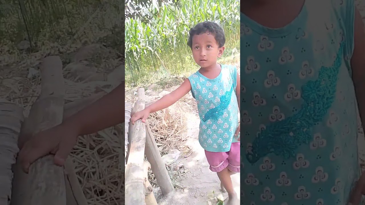 🥰🥰🥰| md motaleb khan331