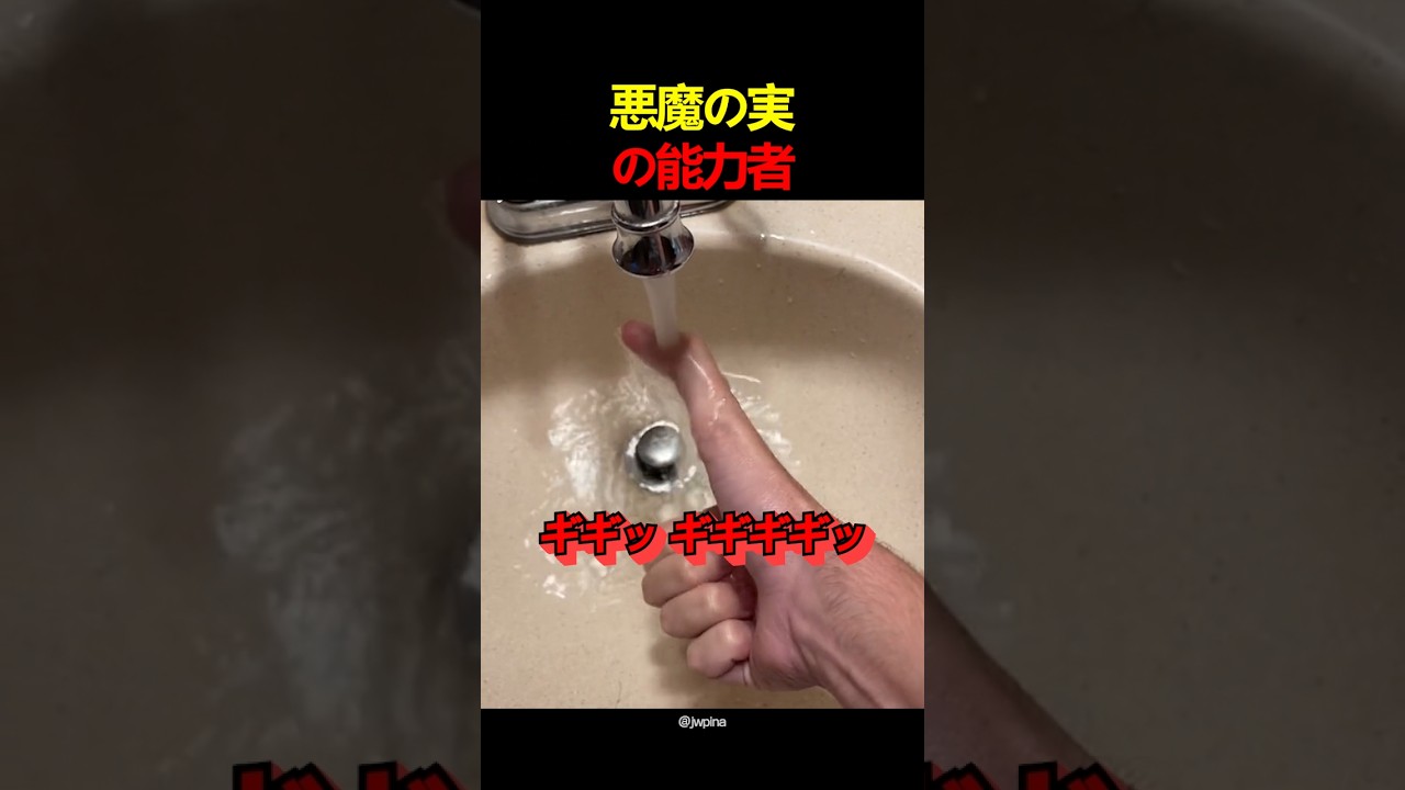 悪魔の実の能力者