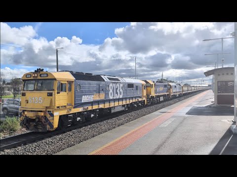 Pacific National 8135 X50 8178 7CM6 Grain train North Shore