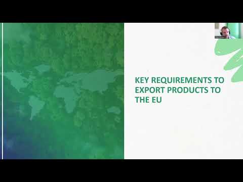 Como exportar mel para a UE (em inglês)