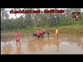 Moodukodi Kaati Kolake Raaje Kambala VMGNP Kambala