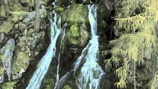 Thomas D Auf dem Planeten des ewigen Regens .m4v