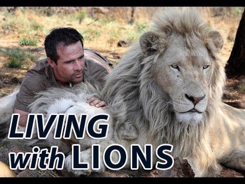 Living with the LIONS   Full Length Documentary