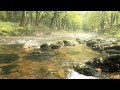Rječina mountain river in Autumn - Sounds of ...