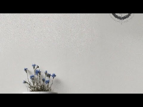 heylog - shoot (audio)