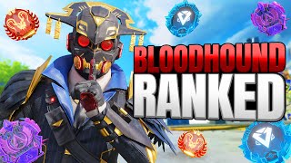 High Level Bloodhound Ranked Gameplay - Apex Legends (No Commentary)