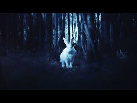 Paris Shadows, Raven Gray - Tandems in the Sky (Official Audio)