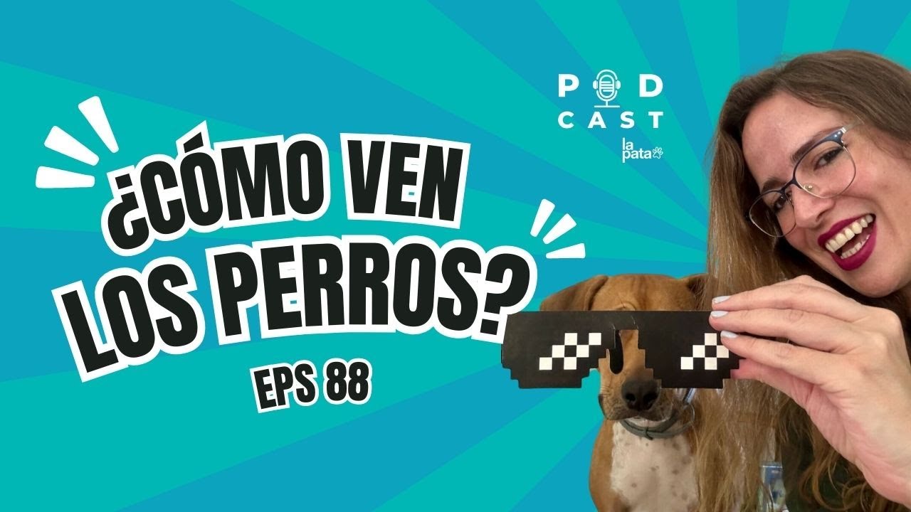 🔥👀 ¿De qué color ven los perros? Podcast La Pata, episodio 88