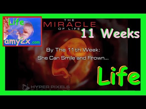 The Miracle Of Life!