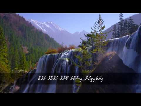 Namaadhu qaaimu kuraasheve