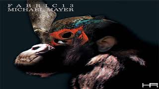 fabric 13 - Michael Mayer (2003)