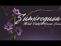 Enya - Sumiregusa (Wild Violet) [Tradução] HD Video