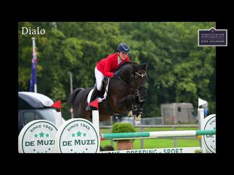 Dialo DJM 2020 in Riesenbeck_Dirk Ahlmann