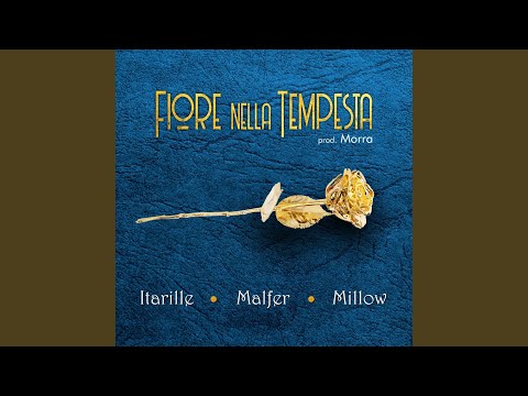 Fiore nella tempesta