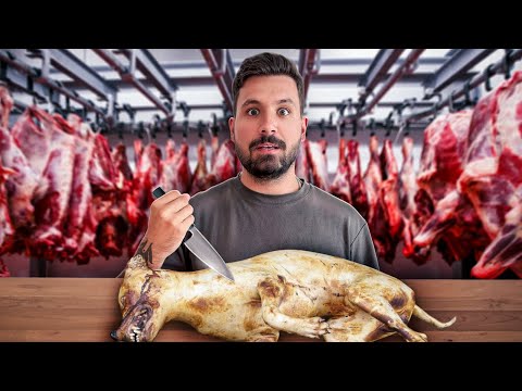 I VISITED ASIA’S BIGGEST EXOTIC MEAT MARKET! 🇮🇩