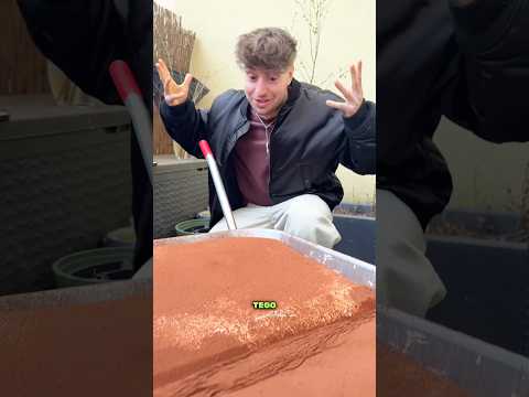 Kiedy masz ochotę na coś słodkiego