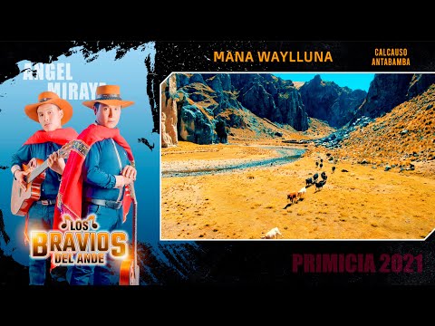 Mana Wayllluna ♪♫ ► ANGEL MIRAYA / BRAVIOS DEL ANDE ◄ TORIL PRIMICIA 2021