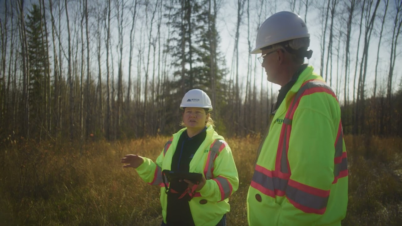 How A Sustainable Forest Management Plan Comes Together