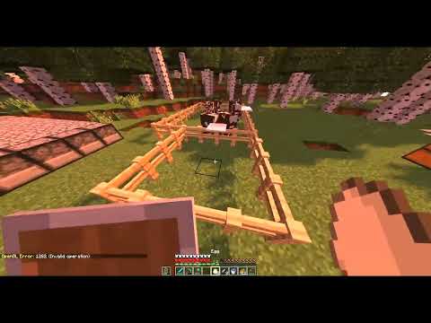 1 Egg = 4 Chickens - Minecraft???