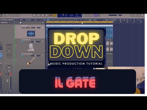 Processori di Dinamica #2 : Expander, Gate