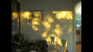 playlist for a slow morning