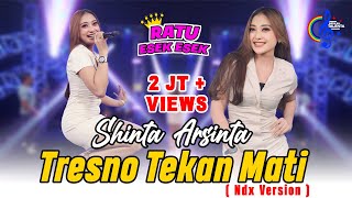 Download lagu Shinta Arsinta - Tresno Tekan Mati Ndx Version () |Gedene Cintaku Luar Biasa mp3