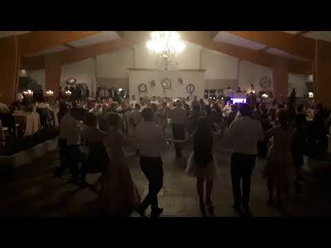 Camelia Conovici Vulpoiu Live nunta