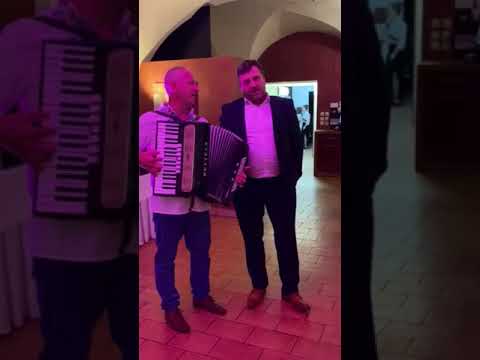 Števo Hruštinec s harmonikou