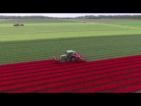 Amazing modern and high-level agriculture machines USA farmers | Farming Machines #farmingtechnology