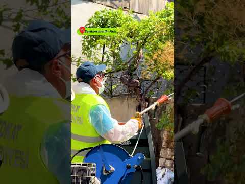 SİVRİSİNEK VE HAŞERELERE KARŞI KAPSAMLI İLAÇLAMA SEFERBERLİĞİ
