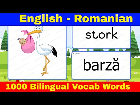 📌 Learn English Romanian Vocabulary with Pictures for Beginners : invata vocabularul engleza romana