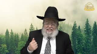 דף היומי בחצי שעה – מסכת זבחים דף נ’א