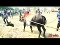WhatsApp Status Cover Video Varlam Varlam Vaa