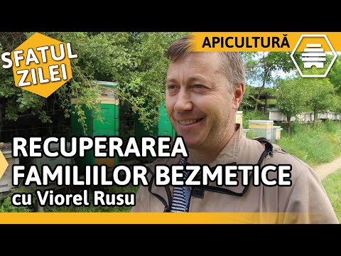 Simptomatologie a bolilor sistemului musculo-scheletice și a articulațiilor