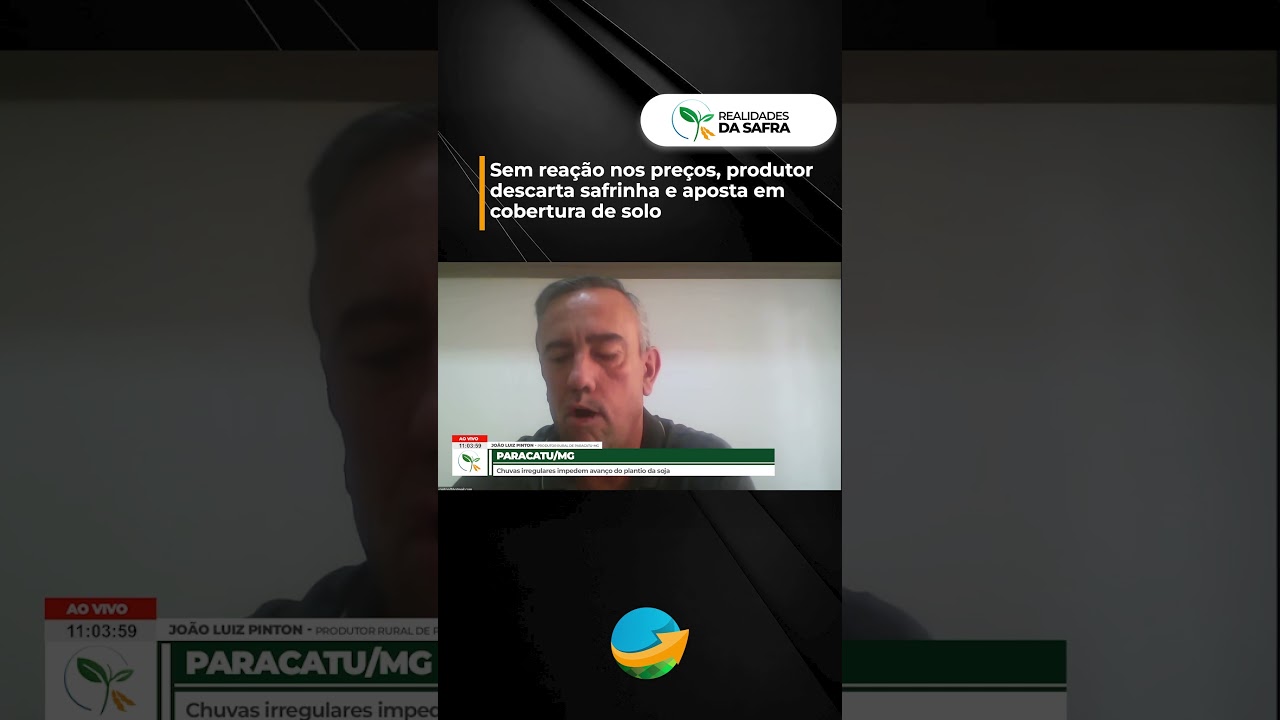 Sem reação nos preços, produtor descarta safrinha e aposta em cobertura de solo