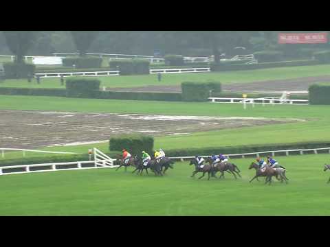 PE, 20. 6. 2020, 3. dostih - Cena za podpory společnosti ENIGOO s.r.o.