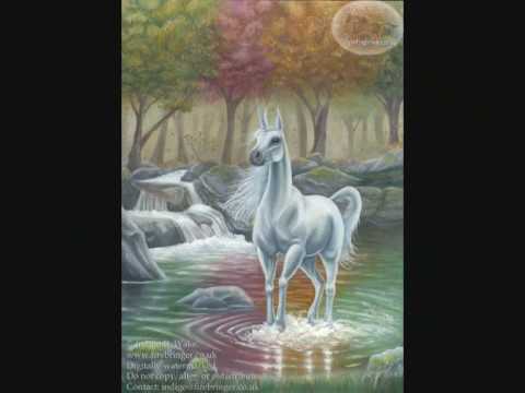 Pino Daniele - O munn và