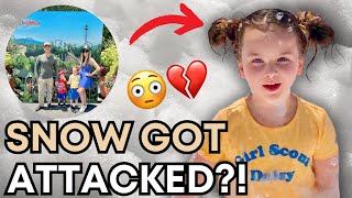 SNOW GOT ATTACKED😳😱+ WEEK IN A LIFE & GRWM