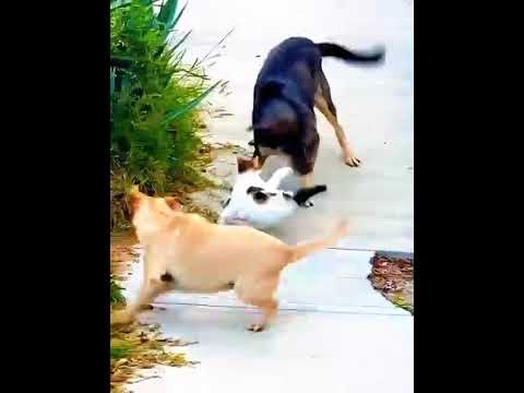 Are you Sure? ☠️ 🔥